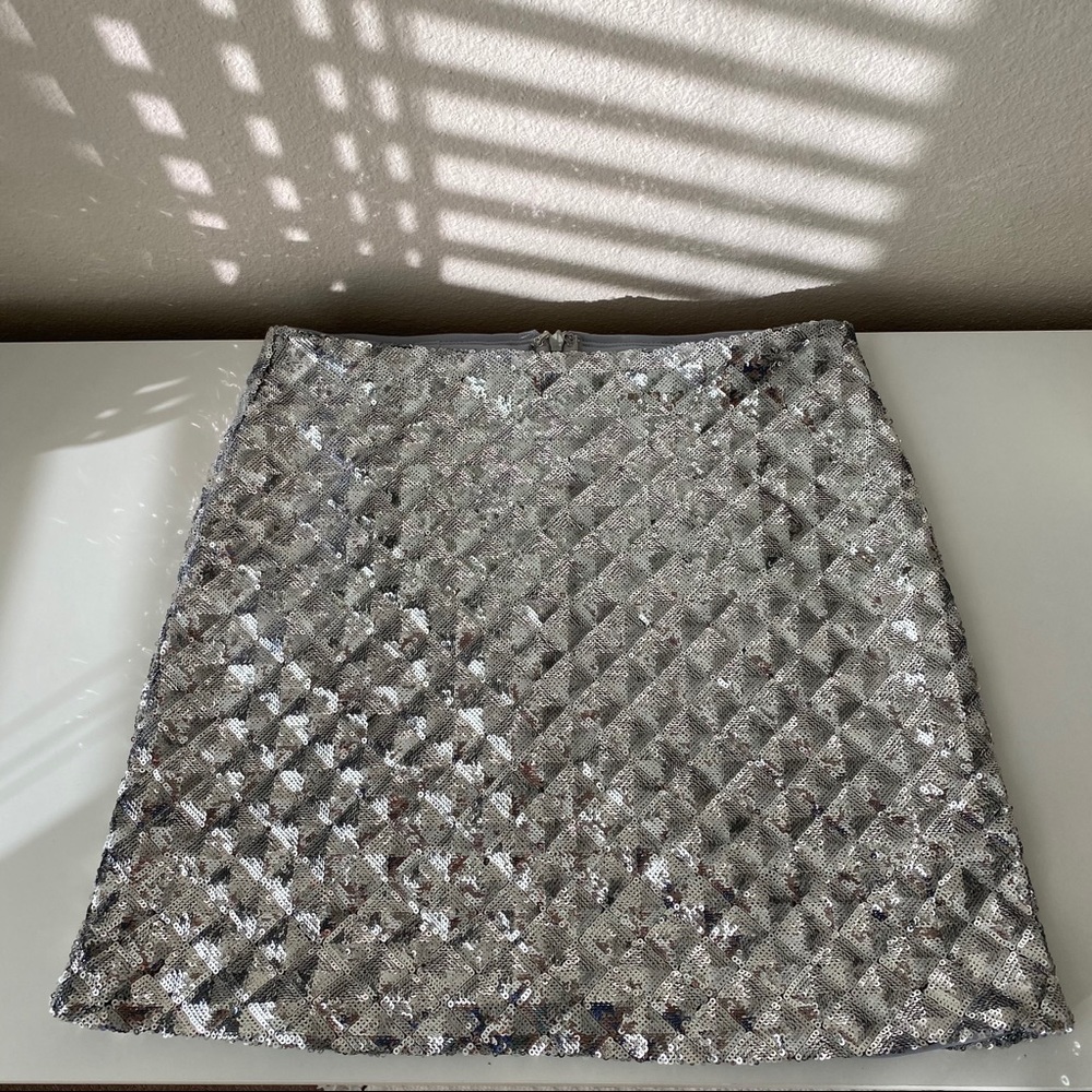 Sparkly mini skirt